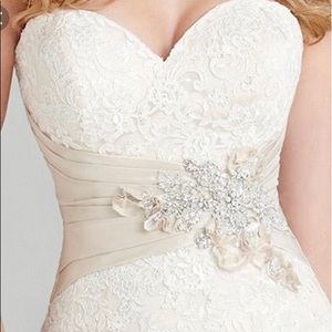 Beautiful Allure Wedding Dress